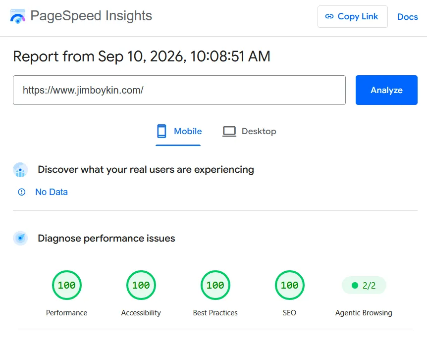 Google Page Speed Insights on JimBoykin.com 100