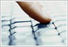 Niche SEO Services